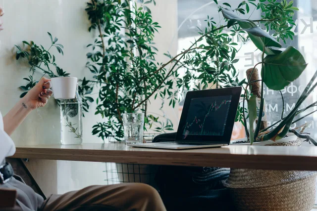 A calm workspace featuring a laptop with graphs, plants, and a coffee cup. Google Ads einrichten und steuern: Kosten, Konten und Kontrolle für Kleinbetriebe